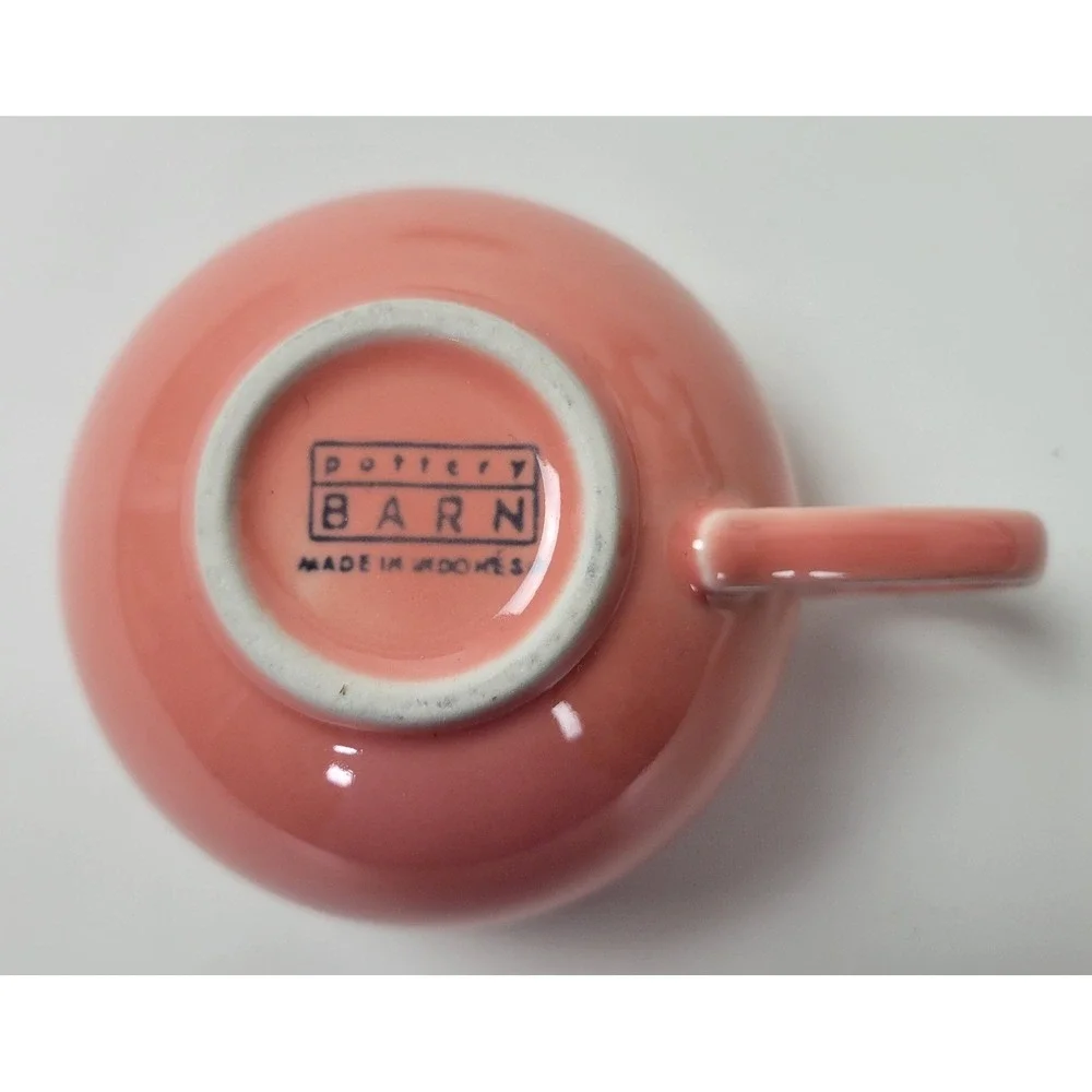 Pottery Barn Colors‎ Salmon Pink Ceramic Cup and Saucer Set 10oz